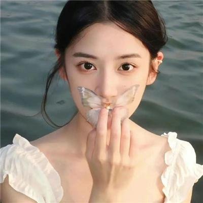探长与海:在黑森林中独行