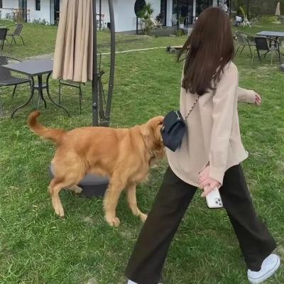 芭比之圣诞欢歌